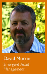David Murrin